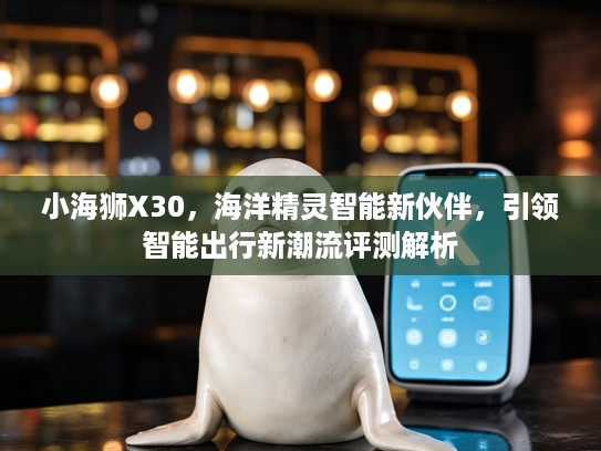 小海狮X30，海洋精灵智能新伙伴，引领智能出行新潮流评测解析