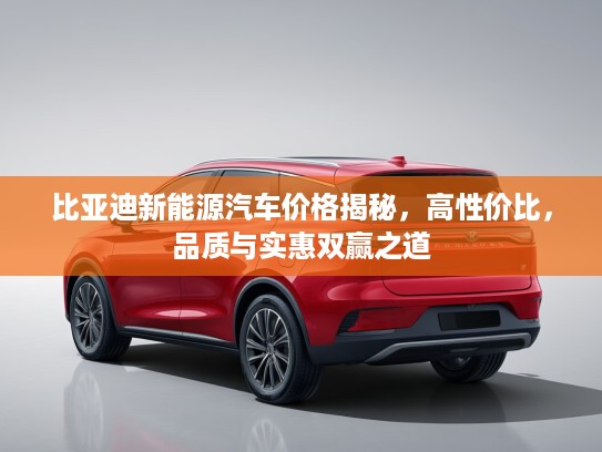 比亚迪新能源汽车价格揭秘，高性价比，品质与实惠双赢之道