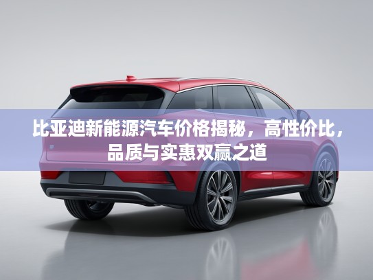 比亚迪新能源汽车价格揭秘，高性价比，品质与实惠双赢之道