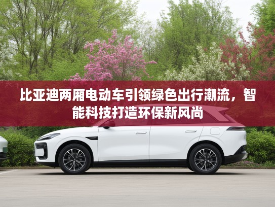 比亚迪两厢电动车引领绿色出行潮流，智能科技打造环保新风尚