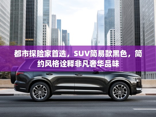 都市探险家首选，SUV简易款黑色，简约风格诠释非凡奢华品味