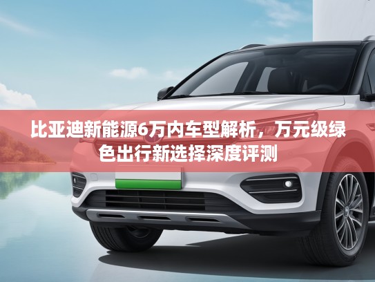 比亚迪新能源6万内车型解析，万元级绿色出行新选择深度评测