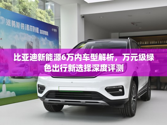 比亚迪新能源6万内车型解析，万元级绿色出行新选择深度评测