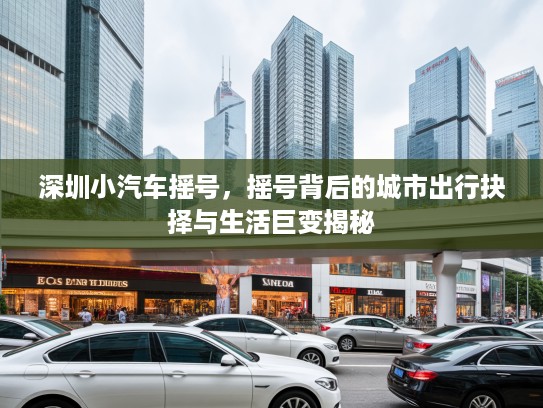深圳小汽车摇号，摇号背后的城市出行抉择与生活巨变揭秘