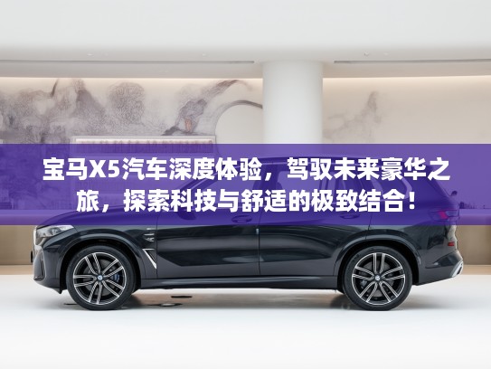 宝马X5汽车深度体验，驾驭未来豪华之旅，探索科技与舒适的极致结合！