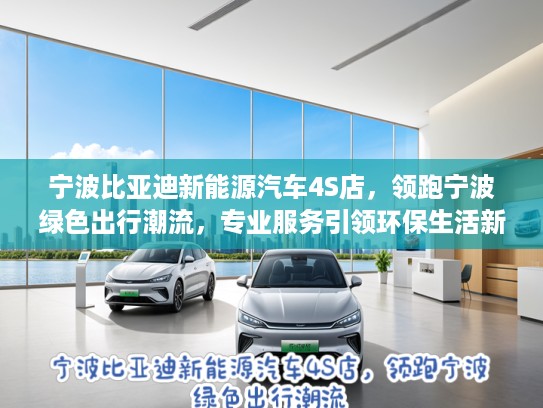 宁波比亚迪新能源汽车4S店，领跑宁波绿色出行潮流，专业服务引领环保生活新时尚