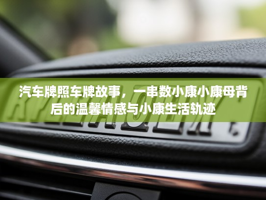 汽车牌照车牌故事，一串数小康小康母背后的温馨情感与小康生活轨迹