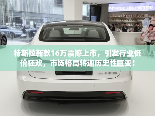 特斯拉新款16万震撼上市，引发行业低价狂欢，市场格局将迎历史性巨变！