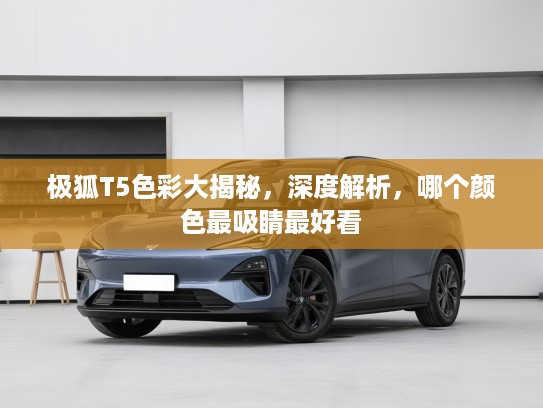 极狐T5色彩大揭秘，深度解析，哪个颜色最吸睛最好看