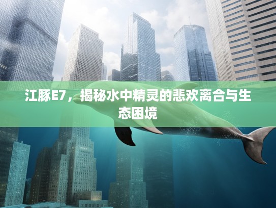 江豚E7，揭秘水中精灵的悲欢离合与生态困境