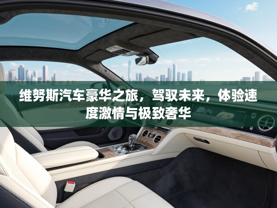 维努斯汽车豪华之旅，驾驭未来，体验速度激情与极致奢华