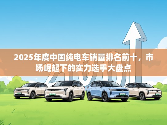 2025年度中国纯电车销量排名前十，市场崛起下的实力选手大盘点