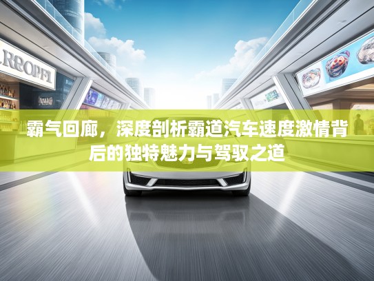 霸气回廊，深度剖析霸道汽车速度激情背后的独特魅力与驾驭之道