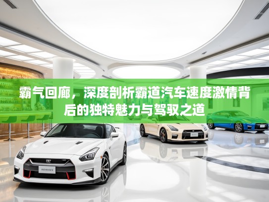 霸气回廊，深度剖析霸道汽车速度激情背后的独特魅力与驾驭之道