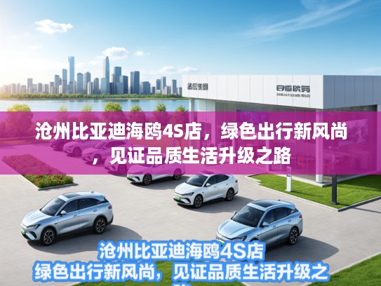 沧州比亚迪海鸥4S店，绿色出行新风尚，见证品质生活升级之路