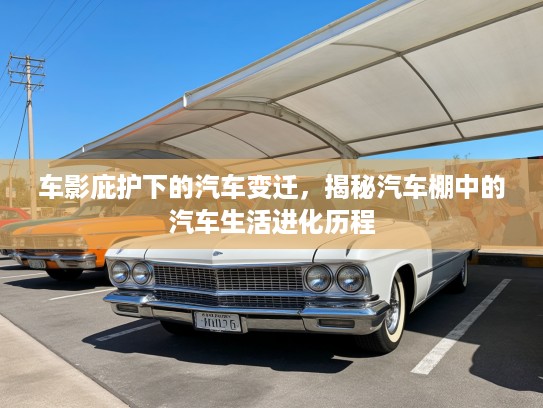 车影庇护下的汽车变迁，揭秘汽车棚中的汽车生活进化历程