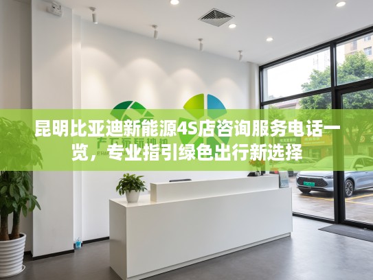 昆明比亚迪新能源4S店咨询服务电话一览，专业指引绿色出行新选择