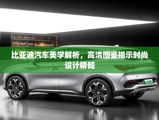 比亚迪汽车美学解析，高清图鉴揭示时尚设计精髓