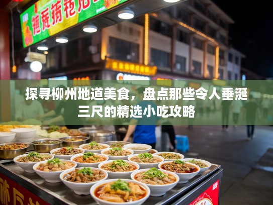 探寻柳州地道美食，盘点那些令人垂涎三尺的精选小吃攻略
