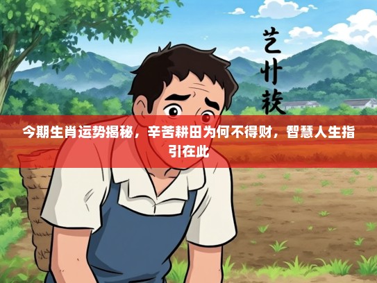 今期生肖运势揭秘，辛苦耕田为何不得财，智慧人生指引在此