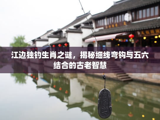 江边独钓生肖之谜，揭秘细线弯钩与五六结合的古老智慧