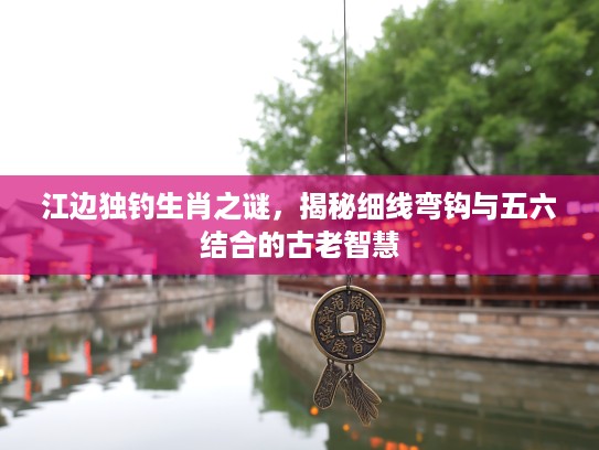 江边独钓生肖之谜，揭秘细线弯钩与五六结合的古老智慧