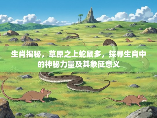 生肖揭秘，草原之上蛇鼠多，探寻生肖中的神秘力量及其象征意义