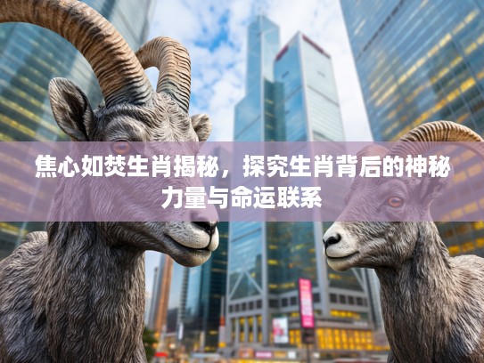 焦心如焚生肖揭秘，探究生肖背后的神秘力量与命运联系