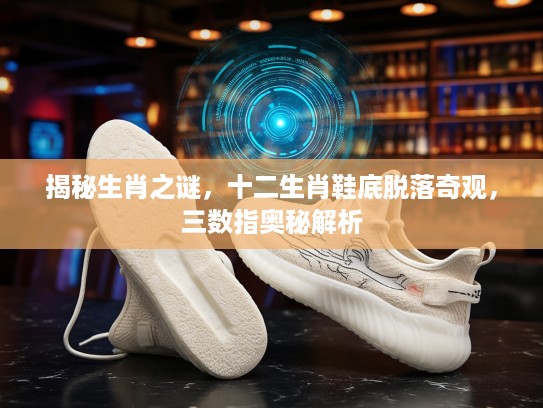 揭秘生肖之谜，十二生肖鞋底脱落奇观，三数指奥秘解析