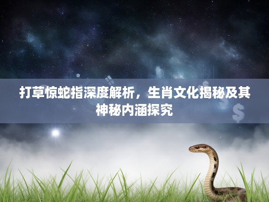 打草惊蛇指深度解析，生肖文化揭秘及其神秘内涵探究