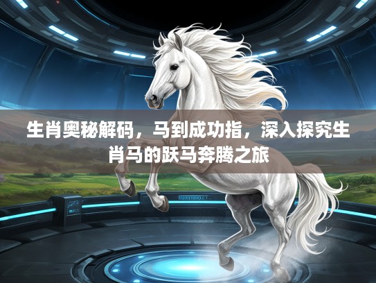 生肖奥秘解码，马到成功指，深入探究生肖马的跃马奔腾之旅