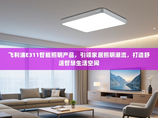 飞利浦E311智能照明产品，引领家居照明潮流，打造舒适智慧生活空间