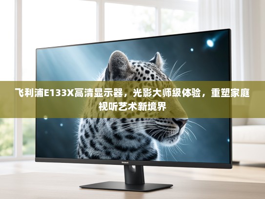 飞利浦E133X高清显示器，光影大师级体验，重塑家庭视听艺术新境界