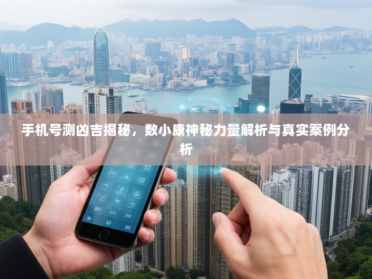 手机号测凶吉揭秘，数小康神秘力量解析与真实案例分析