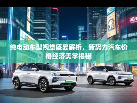 纯电动车型视觉盛宴解析，新势力汽车价格经济美学揭秘