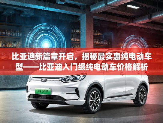 比亚迪新篇章开启，揭秘最实惠纯电动车型——比亚迪入门级纯电动车价格解析