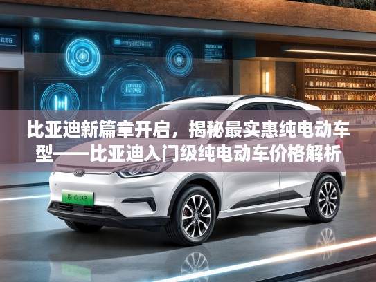 比亚迪新篇章开启，揭秘最实惠纯电动车型——比亚迪入门级纯电动车价格解析