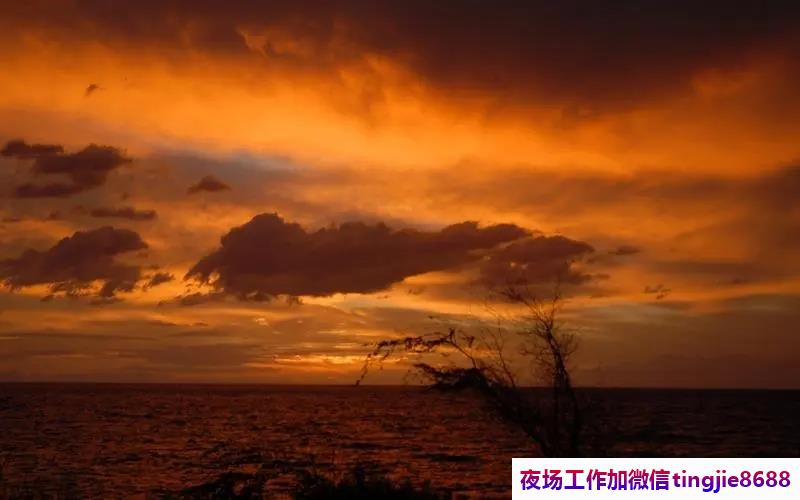 黔东夜场佳丽日结工资.诚邀优秀人才加入.黔东商务KTV女孩模特招募——才子佳人争锋，直招资讯招聘火爆异常